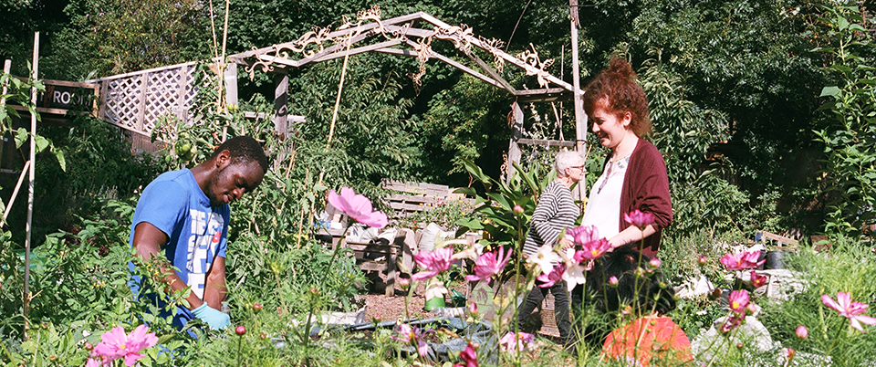 Loughborough Farm, making Loughborough Junction greener and healthier