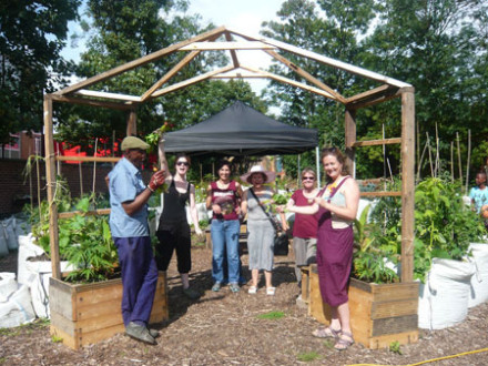 Loughborough Farm, summer 2014