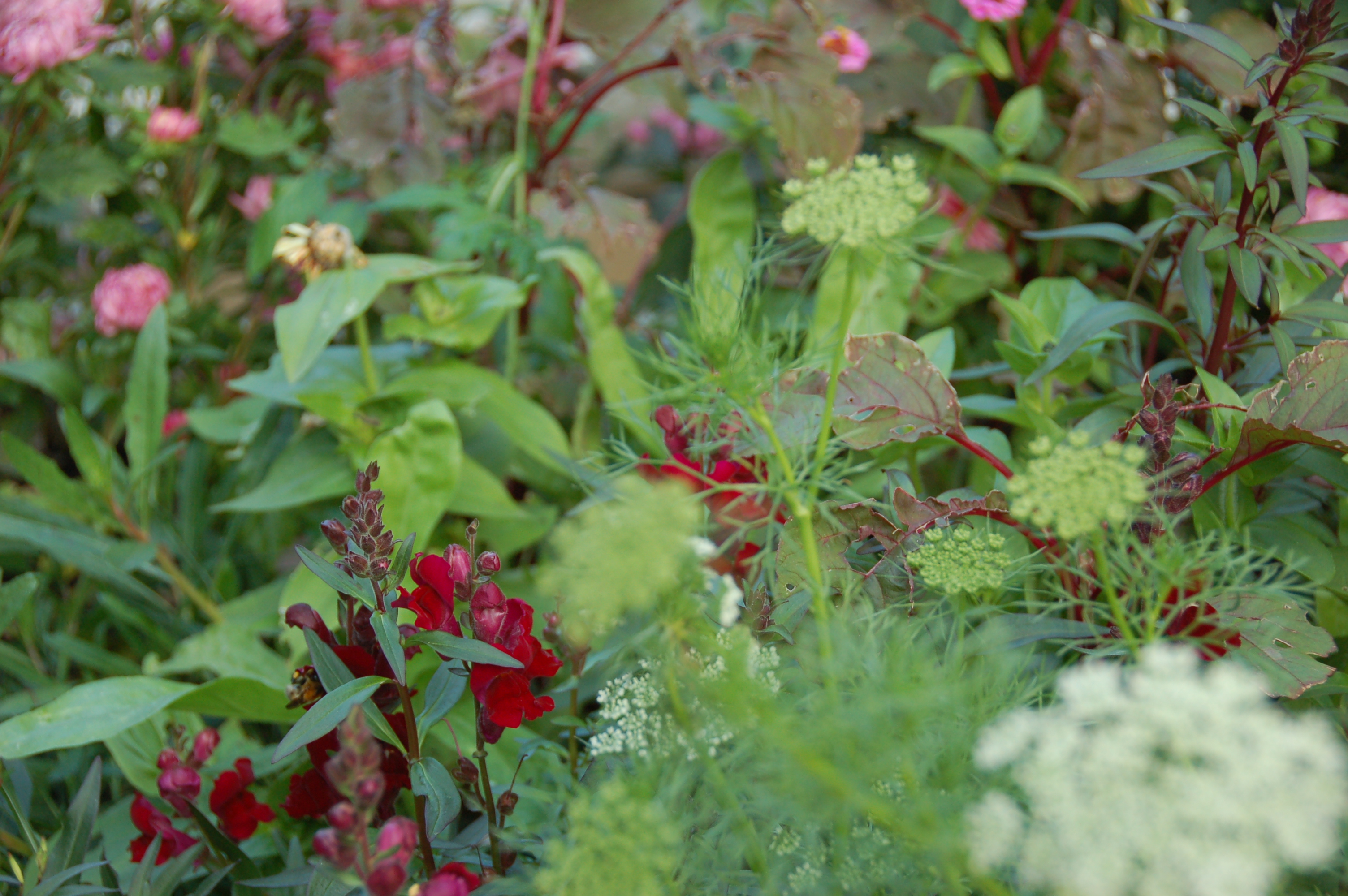 New volunteer welcome session, training and cooks for harvest lunch