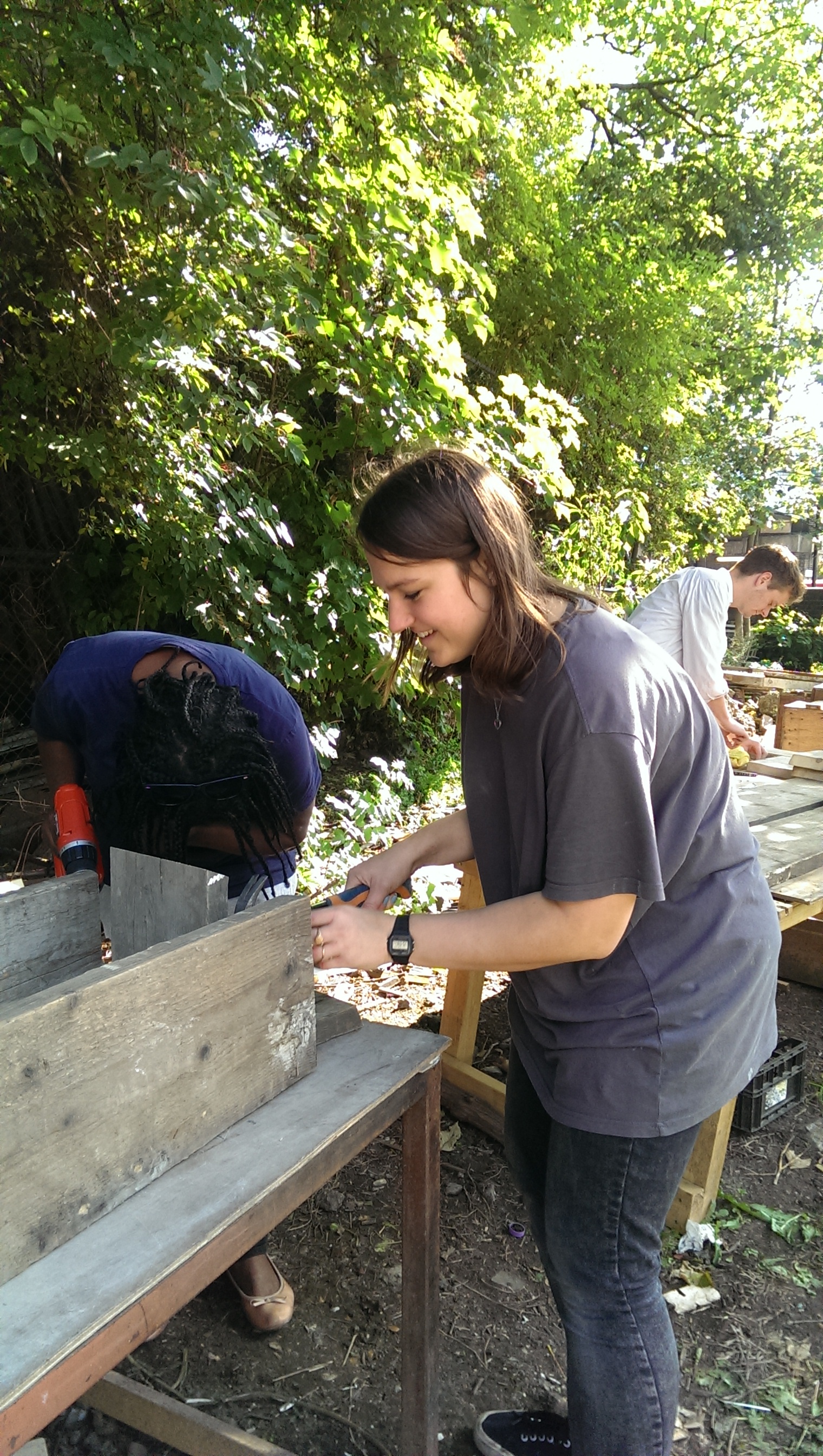 Loughborough Farm – Winter Vegetable Training session and a DIY training session