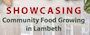 Showcasing community food growing: event with free food and networking