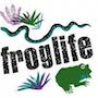 Froglife project at Myatt’s fields