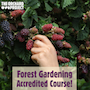 Forest Garden Accredited Course!