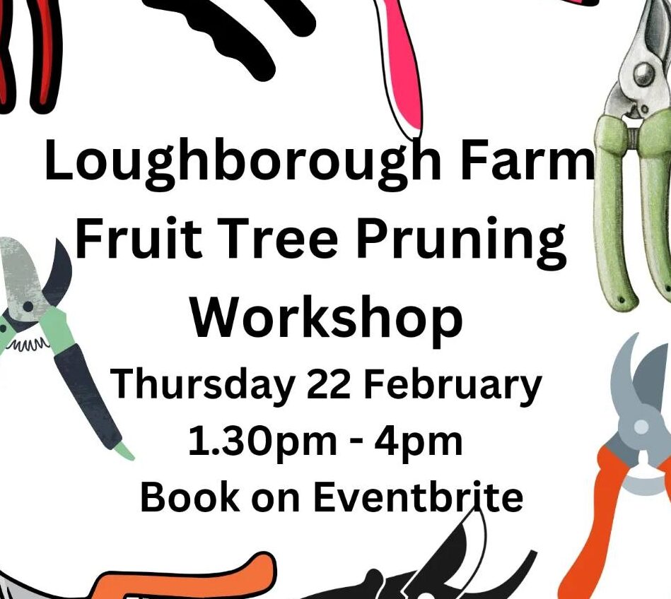 Loughborough Farm Fruit Tree Pruning Workshop 22 Feb 2024 1:30pm-4pm