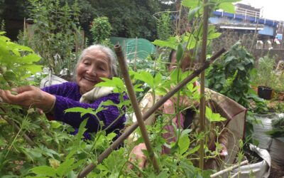 We will miss you Jagat, a treasured Loughborough Farm volunteer